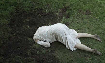 Una imagen de Bosque Maldito |  Festival Films