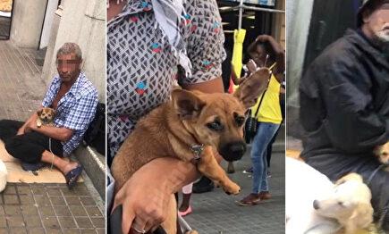 Perros mendigos explotados (Barcelona) |  Imágenes captadas por la asociación Vigilancia Solidaria