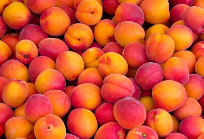 9 alimentos que no pueden faltar en tu dieta si quieres ponerte moreno