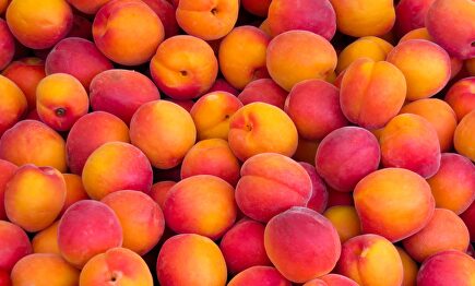 9 alimentos que no pueden faltar en tu dieta si quieres ponerte moreno