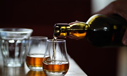 Detectan whisky falso con una lengua artificial |  Dylan de Jonge