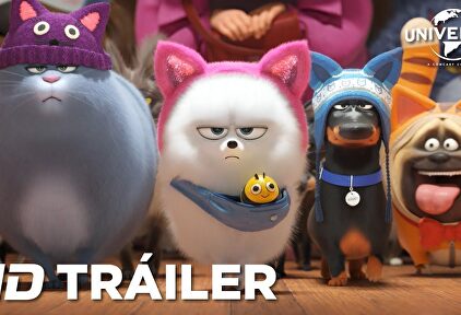 Tráiler en español de 'Mascotas 2'