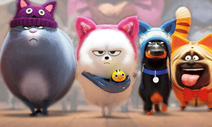 Mascotas 2 |  Universal