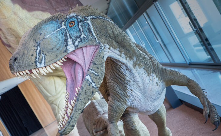 Dinosaurios, ciencia, arqueología o arte: cuatro museos por los que vale la pena ir a Cuenca