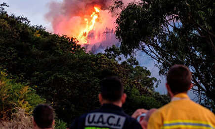 Efectivos del dispositivo de lucha contra el incendio observan las grandes llamas. |  EFE