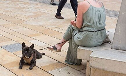 Bayer vende a Elanco su negocio de salud animal por 6.857 millones