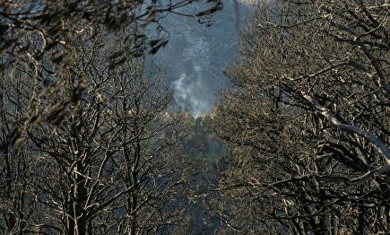 Zonas afectadas por el fuego | EFE