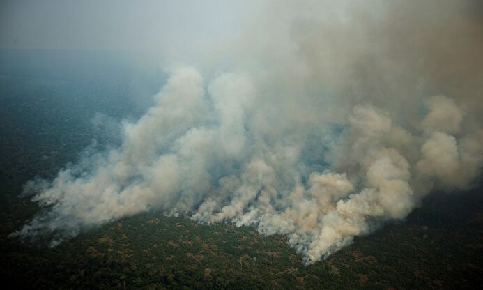 Vista aérea de varias columnas de humo en la selva amazónica de Porto Velho, Rondonia (Brasil) |  EFE