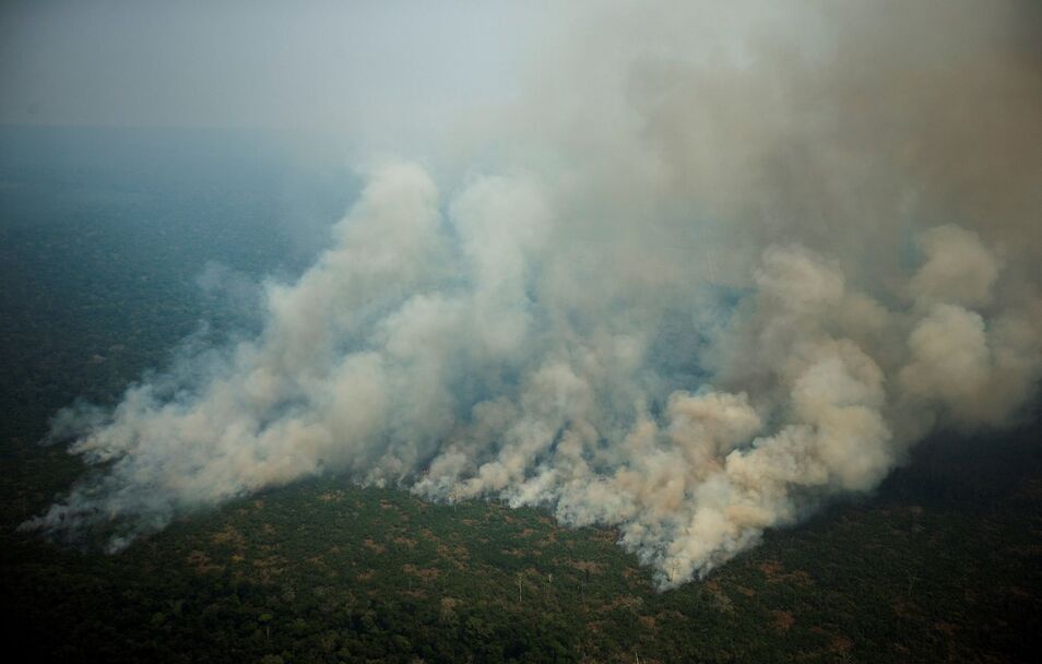 Según el comisario José Humberto de Melo, los implicados vendieron fotos de los incendios a WWF, que no es objeto de la investigación.