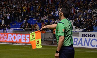 Los linieres podrían terminar desapareciendo. |  Cordon Press