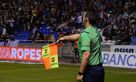 Los linieres podrían terminar desapareciendo. |  Cordon Press