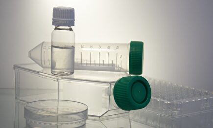 Instrumentos de laboratorio. |  Pixabay