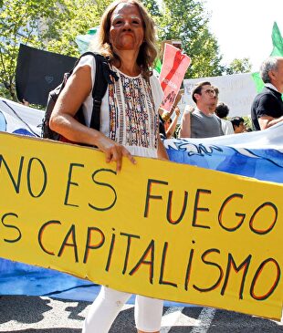 Cinco datos que no te contarán sobre los incendios del Amazonas en Brasil