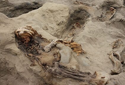 Fotografía cedida que muestra esqueletos de 364 niños ejecutados en Perú |  Agencia Andina