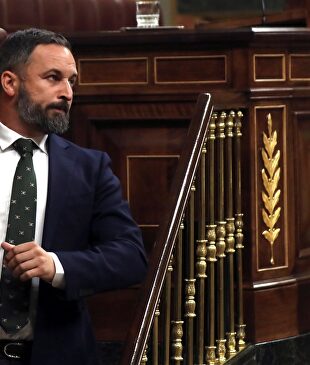 Abascal, en el Congreso. |  EFE
