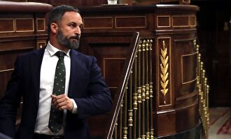 Abascal, en el Congreso. |  EFE