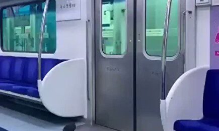 Una paloma se cansa de volar y coge el metro