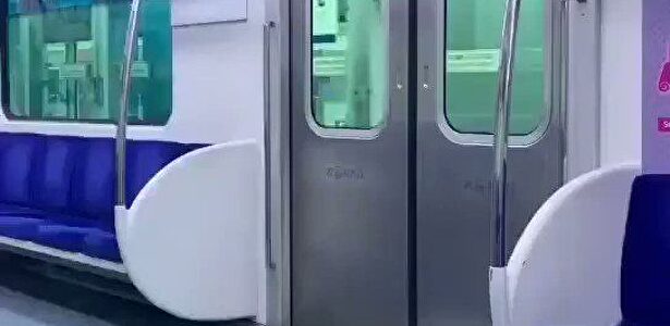 Una paloma se cansa de volar y coge el metro