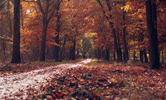 5 destinos en los que dejarse sorprender por los colores del otoño