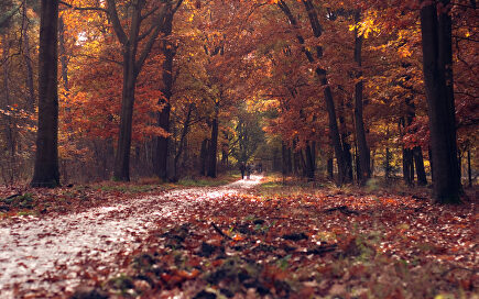 5 destinos en los que dejarse sorprender por los colores del otoño