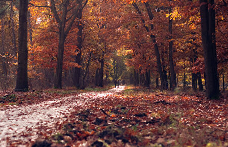 5 destinos en los que dejarse sorprender por los colores del otoño