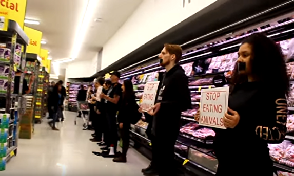 Protesta de activistas veganos en un supermercado australiano |  Youtube