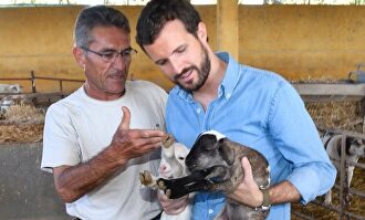 Pablo Casado visita una explotación ganadera |  EFE