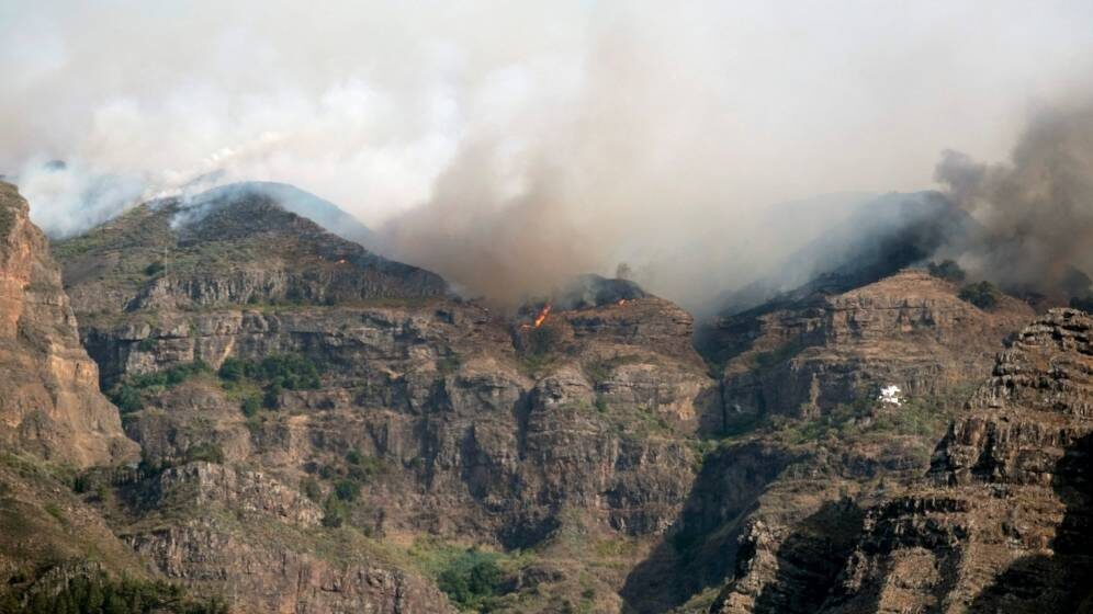 El fuego del incendio de Gran Canaria entra en el Parque Natural de Tamadaba. |  EFE