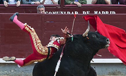 La cogida de Gonzalo Caballero |  Cordon Press
