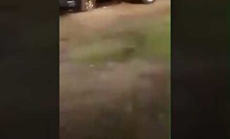 Asesinan a 14 policías en México