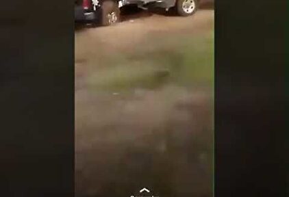 Asesinan a 14 policías en México