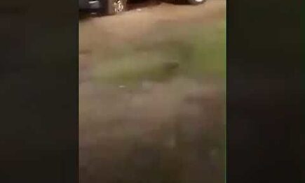 Asesinan a 14 policías en México