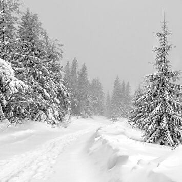 Polonia, destino de invierno |  Pixabay