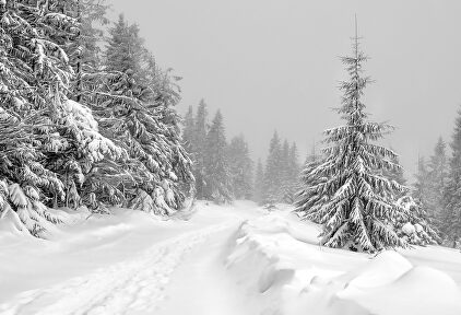 Polonia, destino de invierno |  Pixabay