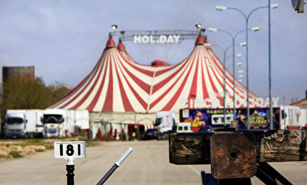 Feria de los Santos. |  Socuéllamos