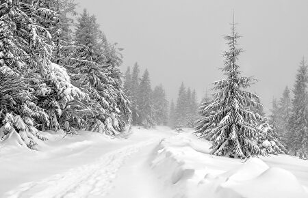 Polonia, destino de invierno |  Pixabay