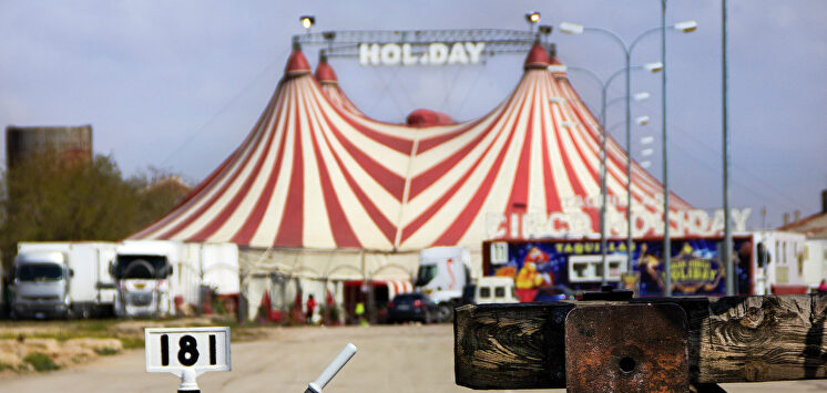 Feria de los Santos. |  Socuéllamos