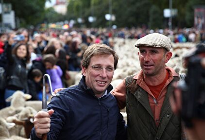 Almeida este domingo en la fiesta de la Trashumancia. |  EFE