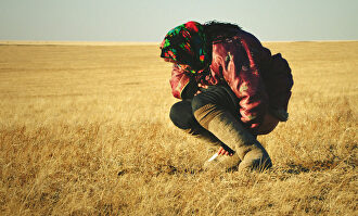 El huevo de dinosaurio |  Caramel