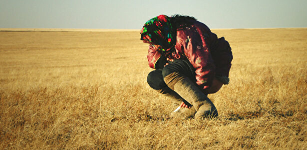 El huevo de dinosaurio |  Caramel