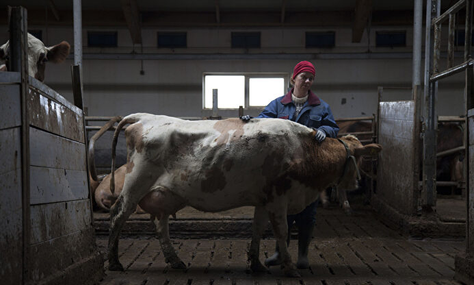 The County |  Karma Films