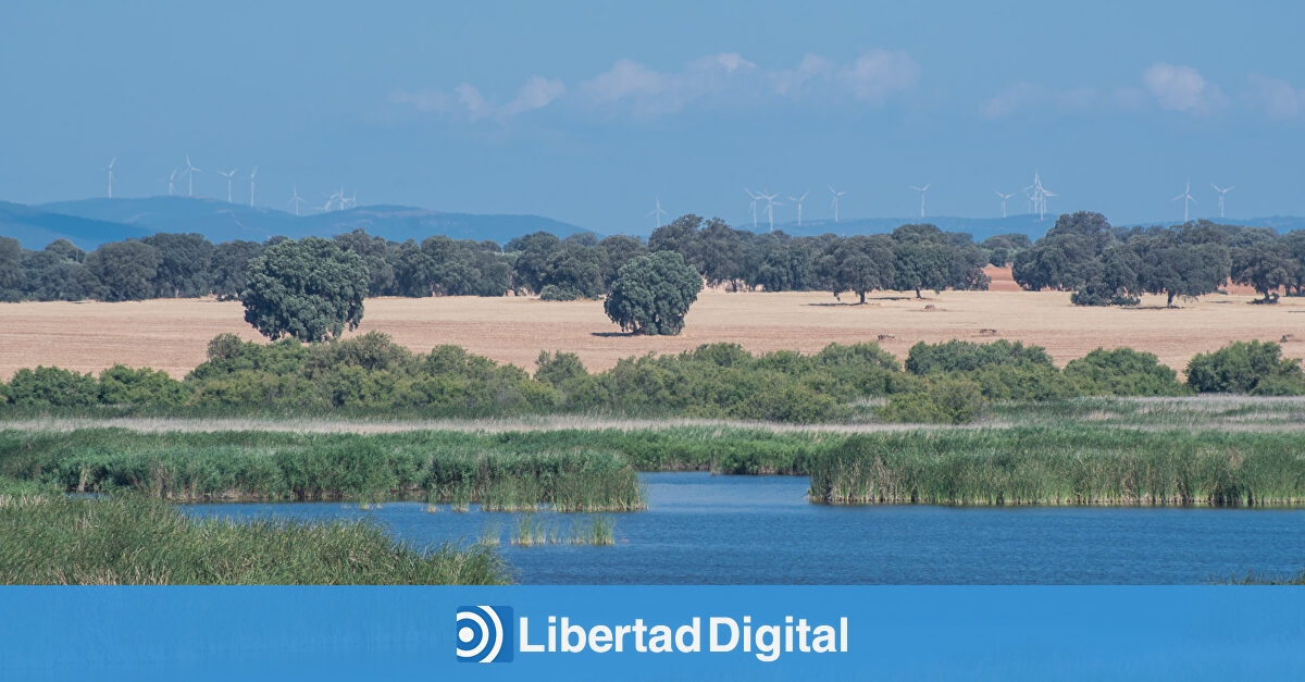 Parque nacional de las tablas de daimiel noticias reportajes v deos