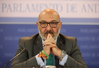 Alejandro Hernández, portavoz de Vox en Andalucía. | Europa Press