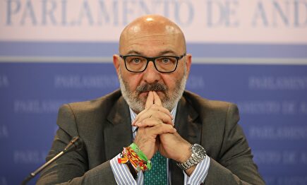 Alejandro Hernández, portavoz de Vox en Andalucía. |  Europa Press