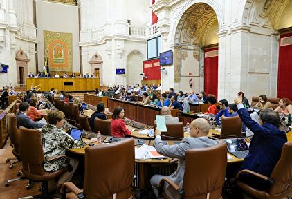Pleno del Parlamento andaluz. |  Europa Press