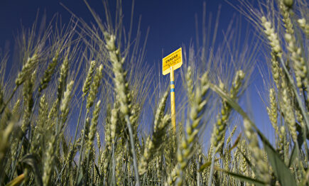 Gas renovable |  Cordon Press