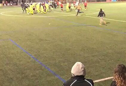 La monumental y lamentable tangana en un partido de juveniles en Mallorca