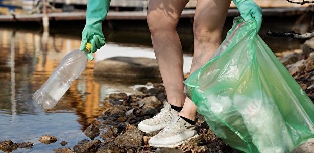 Implicarse en el cuidado del entorno es cosa de todos |  Pixabay/CC/nastya_gepp