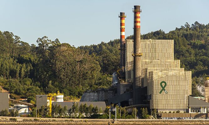 Fábrica de Ence en Pontevedra |  Ence