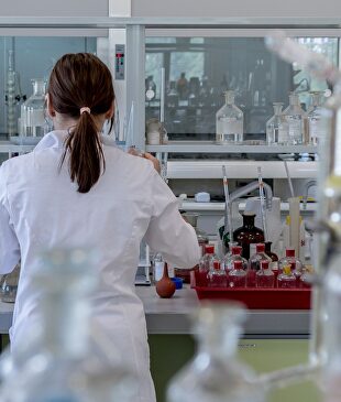 La rabia está erradicada en España. |  Pixabay